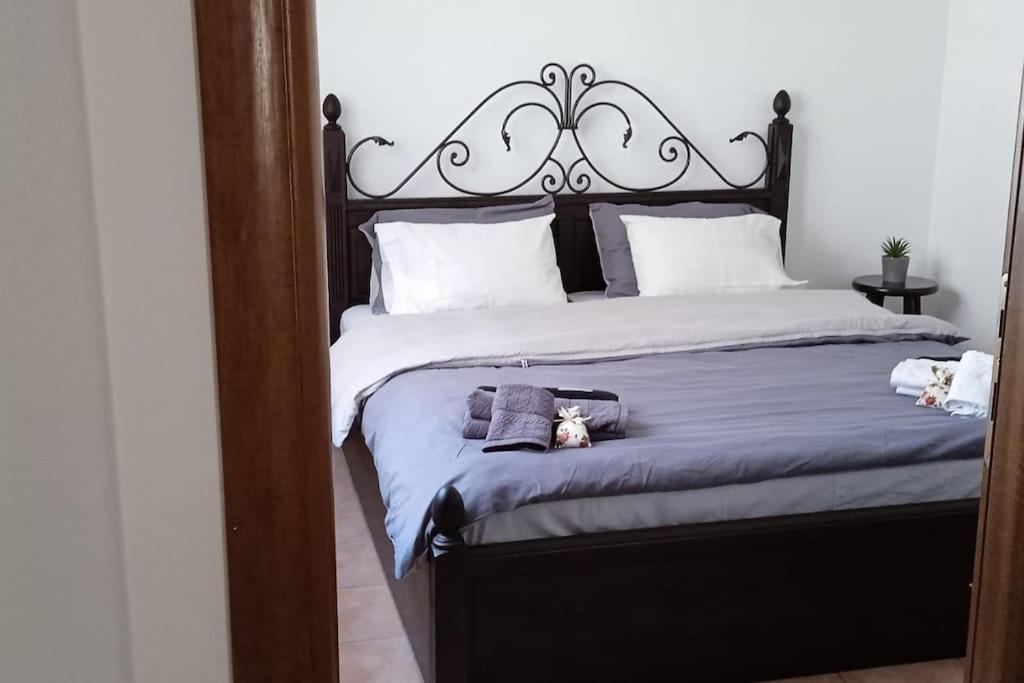 Elea Home Apartments Alexandroúpoli Extérieur photo