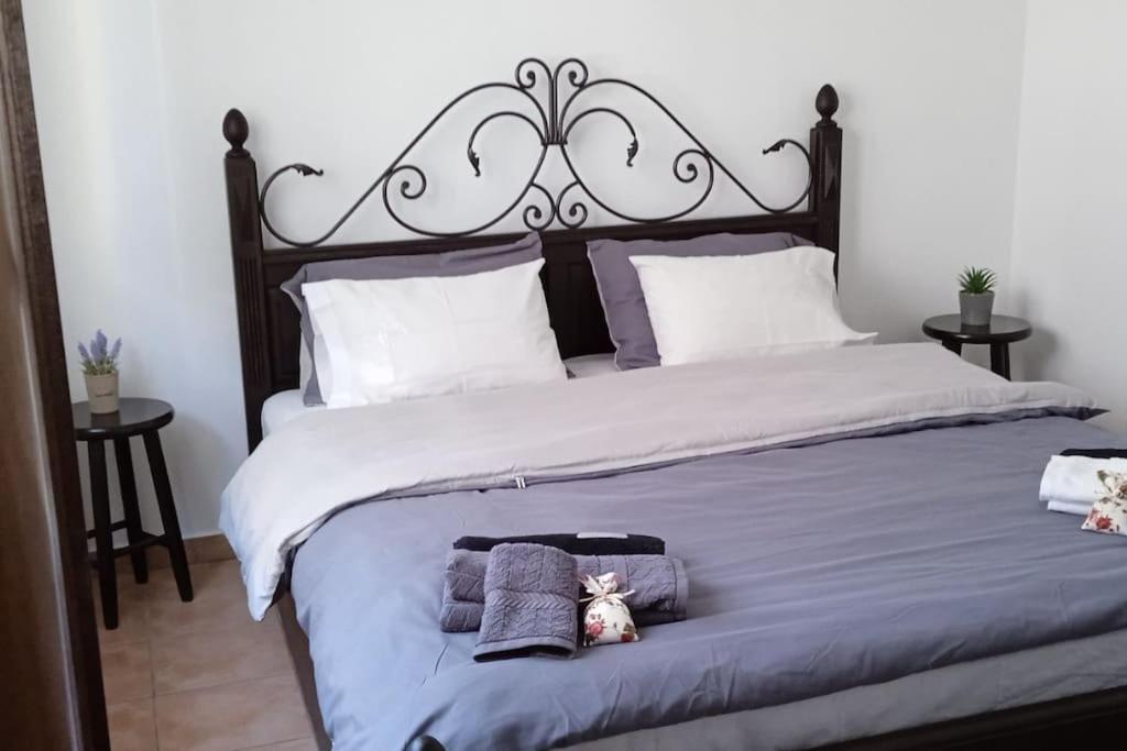 Elea Home Apartments Alexandroúpoli Extérieur photo